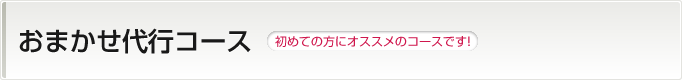 おまかせ代行コース　初めての方にオススメのコースです！