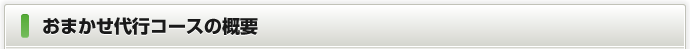 おまかせ代行コースの概要
